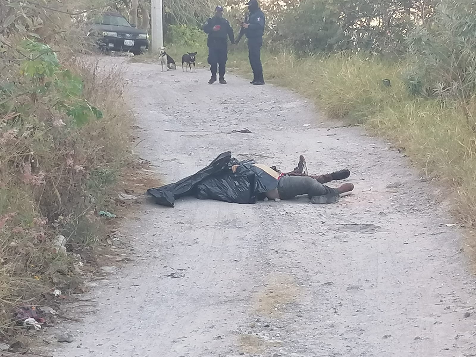 En Chilpancingo… Encuentran cadáveres de dos hombres semi embolsados al lado de la carretera a Tixtla